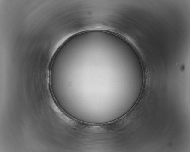 X0000115551476200911271422