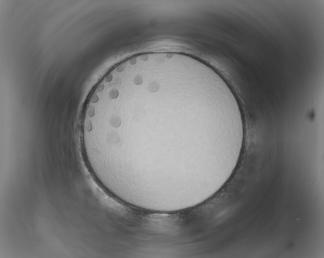 X0000115551478200911271422