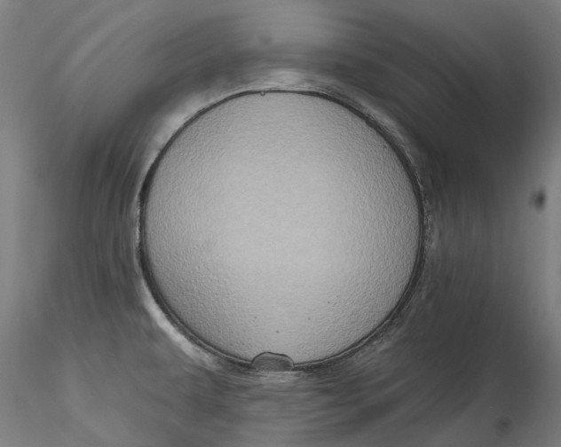 X0000115551479200911271422