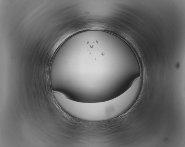 X0000115551481200911271422