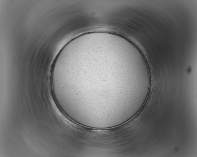 X0000115551483200911271422