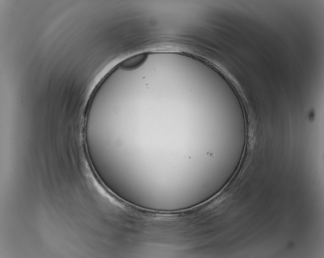 X0000115551484200911271422