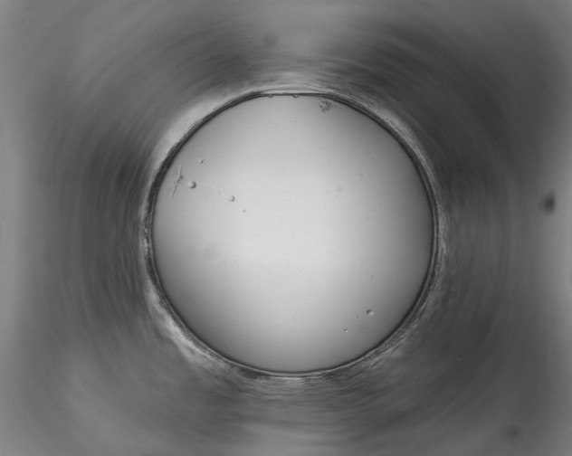 X0000115551485200911271422