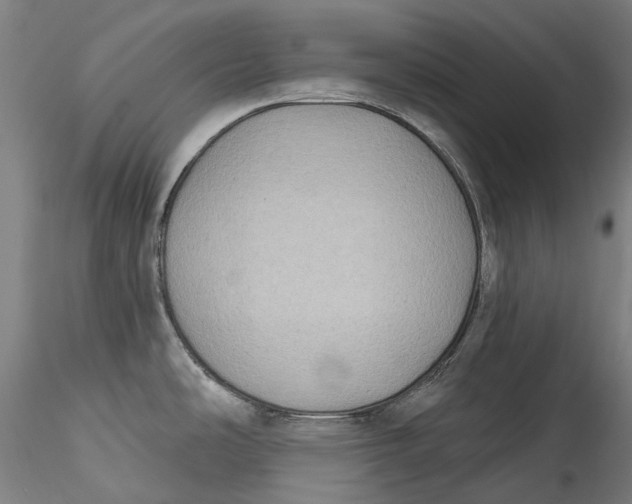 X0000115551486200911271422