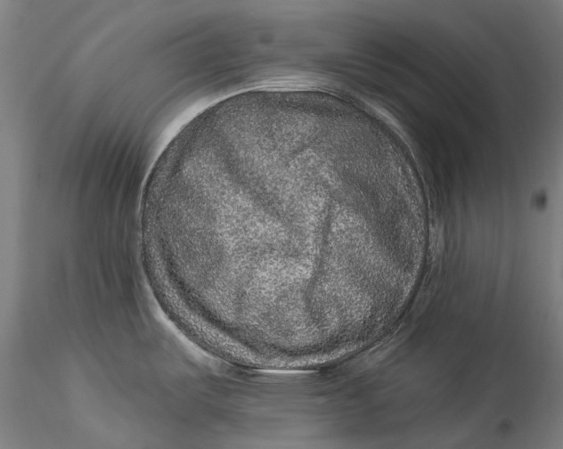 X0000115551487200911271422