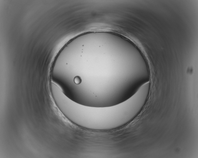 X0000115551488200911271422