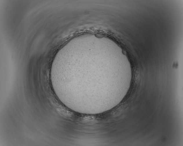 X0000115551489200911271421