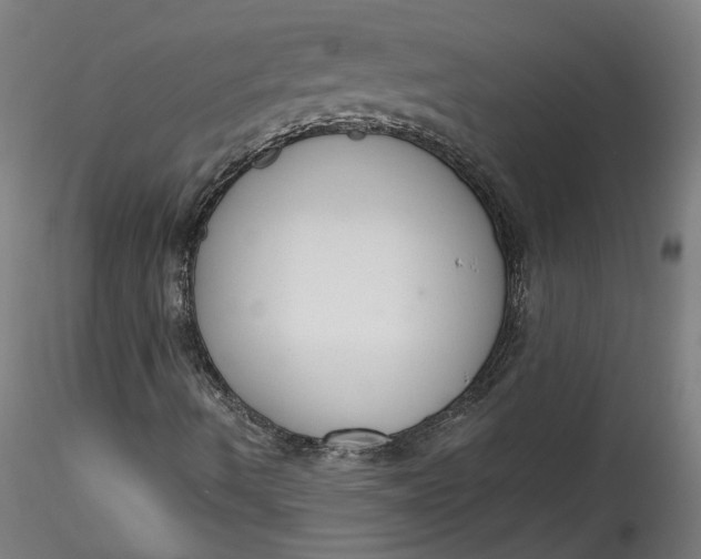 X0000115551490200911271421