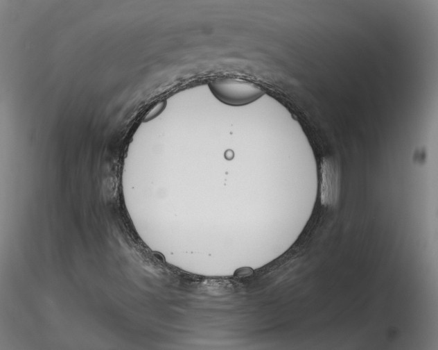 X0000115551491200911271421