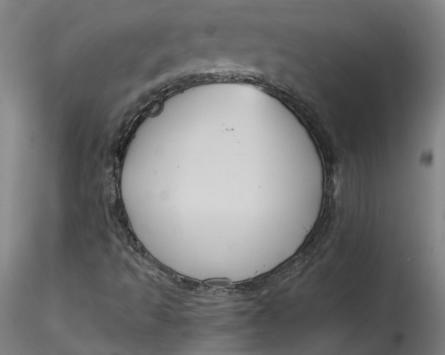 X0000115551493200911271421