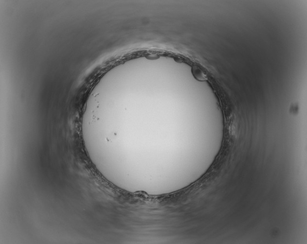 X0000115551495200911271421