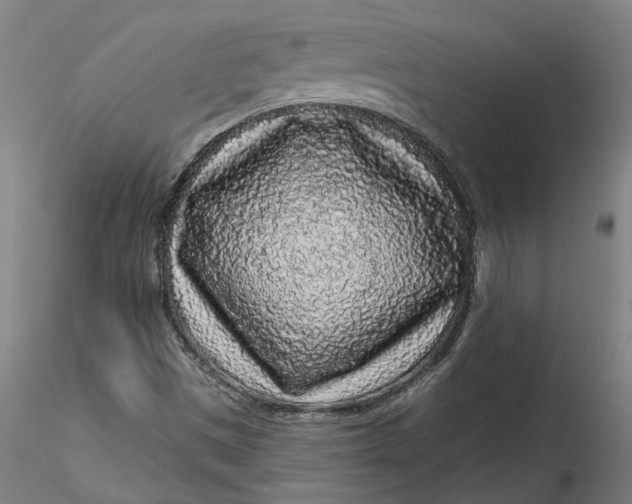 X0000115551497200911271421