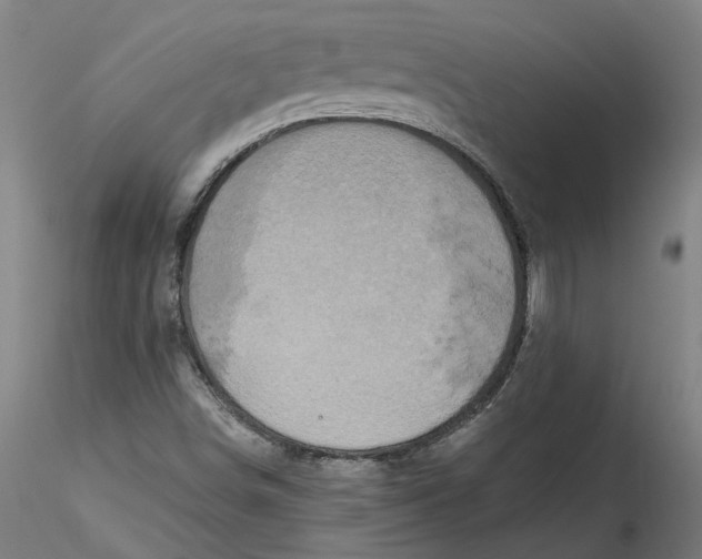 X0000115551498200911271421