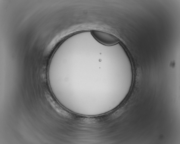 X0000115551499200911271421