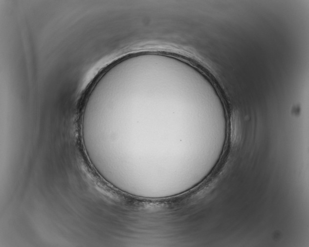 X0000115551501200911271421