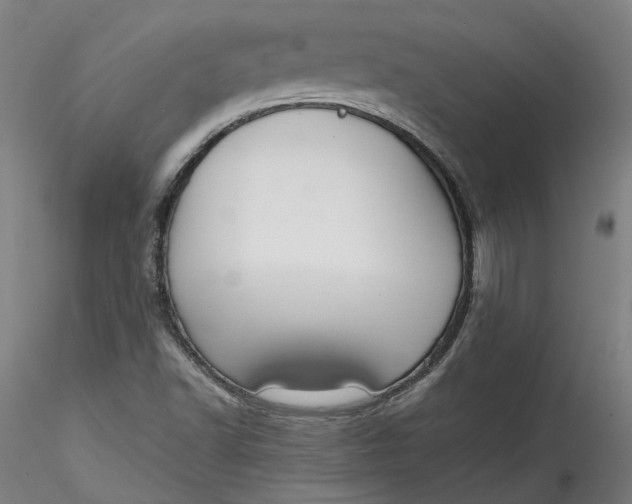 X0000115551502200911271421