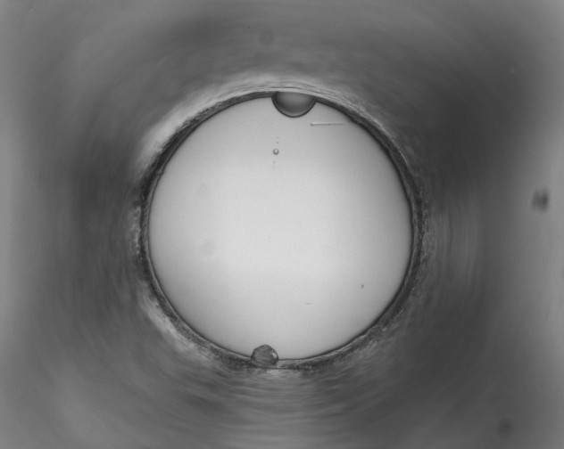 X0000115551503200911271421