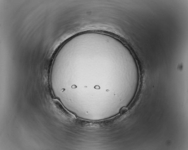 X0000115551505200911271421