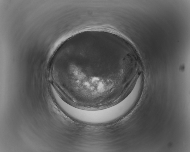 X0000115551506200911271421