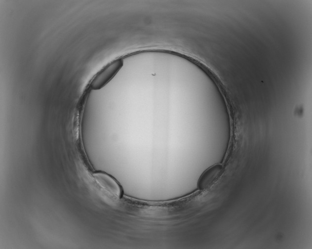 X0000115551510200911271421