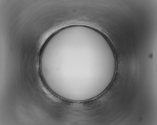 X0000115551511200911271421