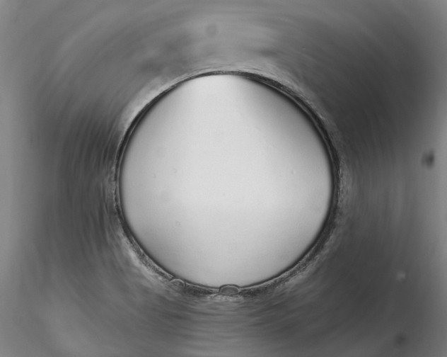 X0000115551513200911271421