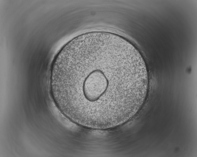 X0000115551514200911271421