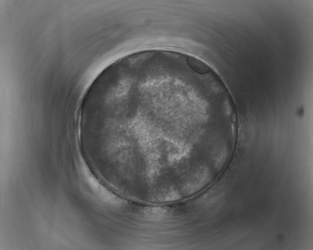 X0000115551515200911271422