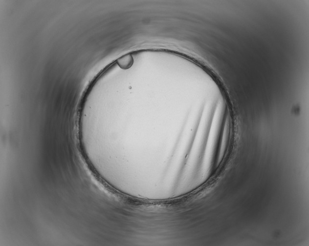 X0000115551517200911271422