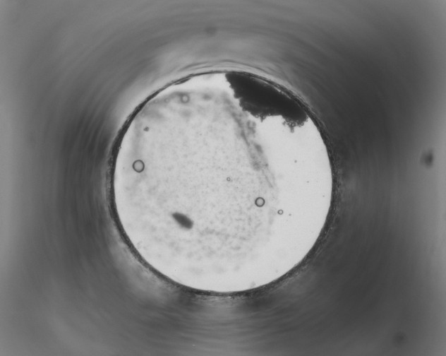 X0000115551518200911271422