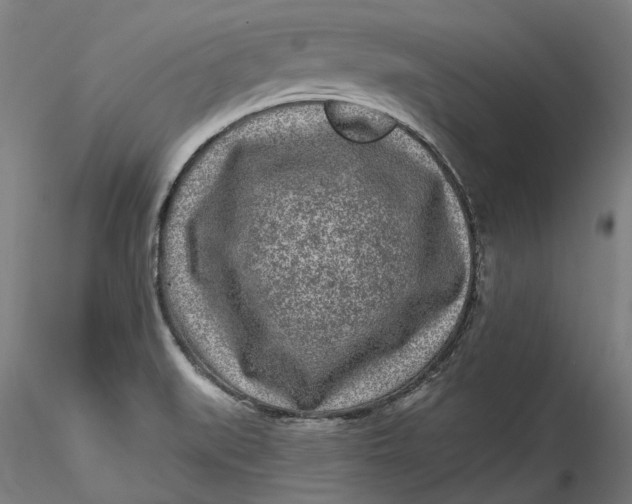 X0000115551519200911271422