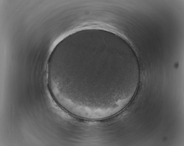 X0000115551522200911271422