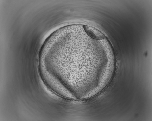 X0000115551523200911271422