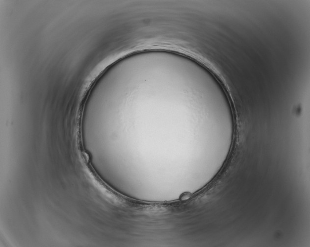 X0000115551525200911271422