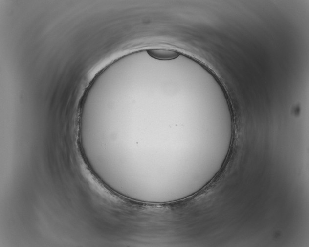 X0000115551526200911271422