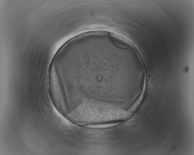 X0000115551527200911271422