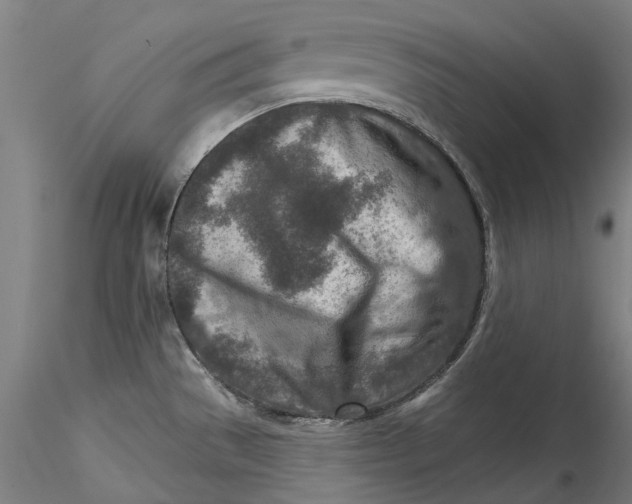 X0000115551529200911271422