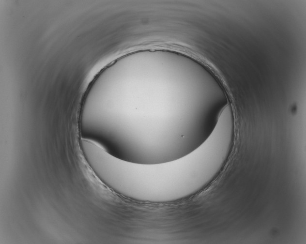 X0000115551530200911271422