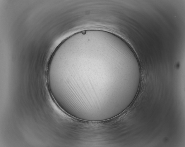 X0000115551531200911271422