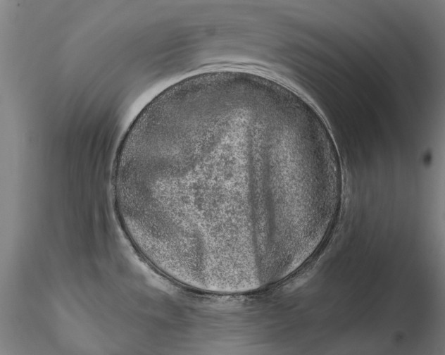 X0000115551533200911271422