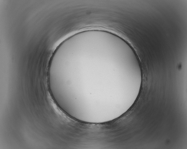 X0000115551534200911271422