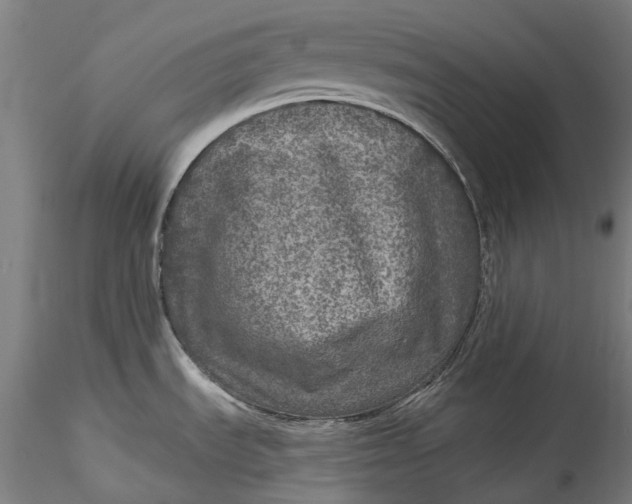 X0000115551535200911271422