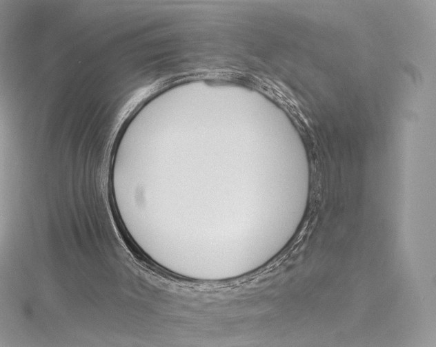 X0000115550003200912041042