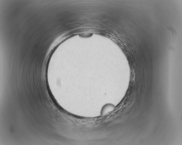 X0000115550004200912041042