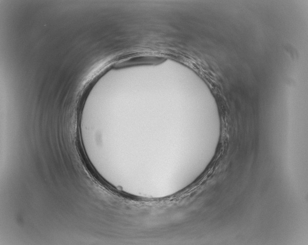 X0000115550005200912041042