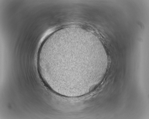 X0000115550006200912041042