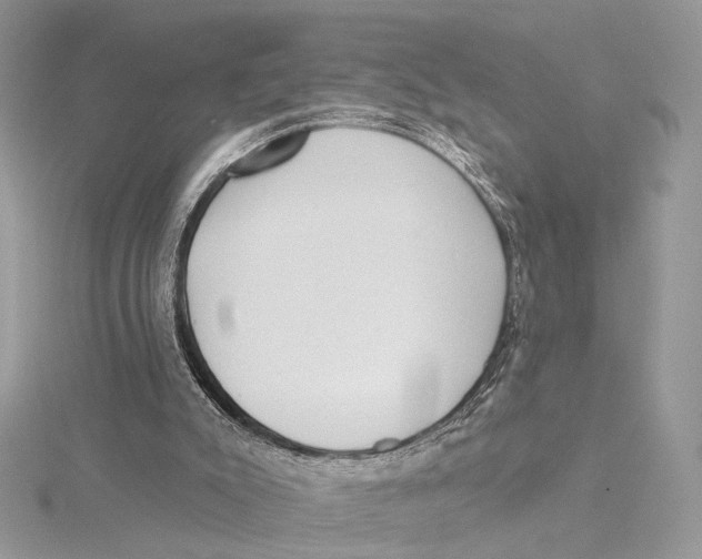 X0000115550007200912041042