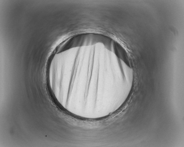 X0000115550008200912041042