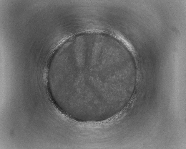 X0000115550009200912041041