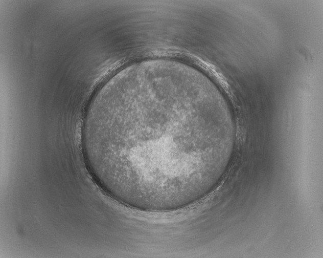 X0000115550010200912041041